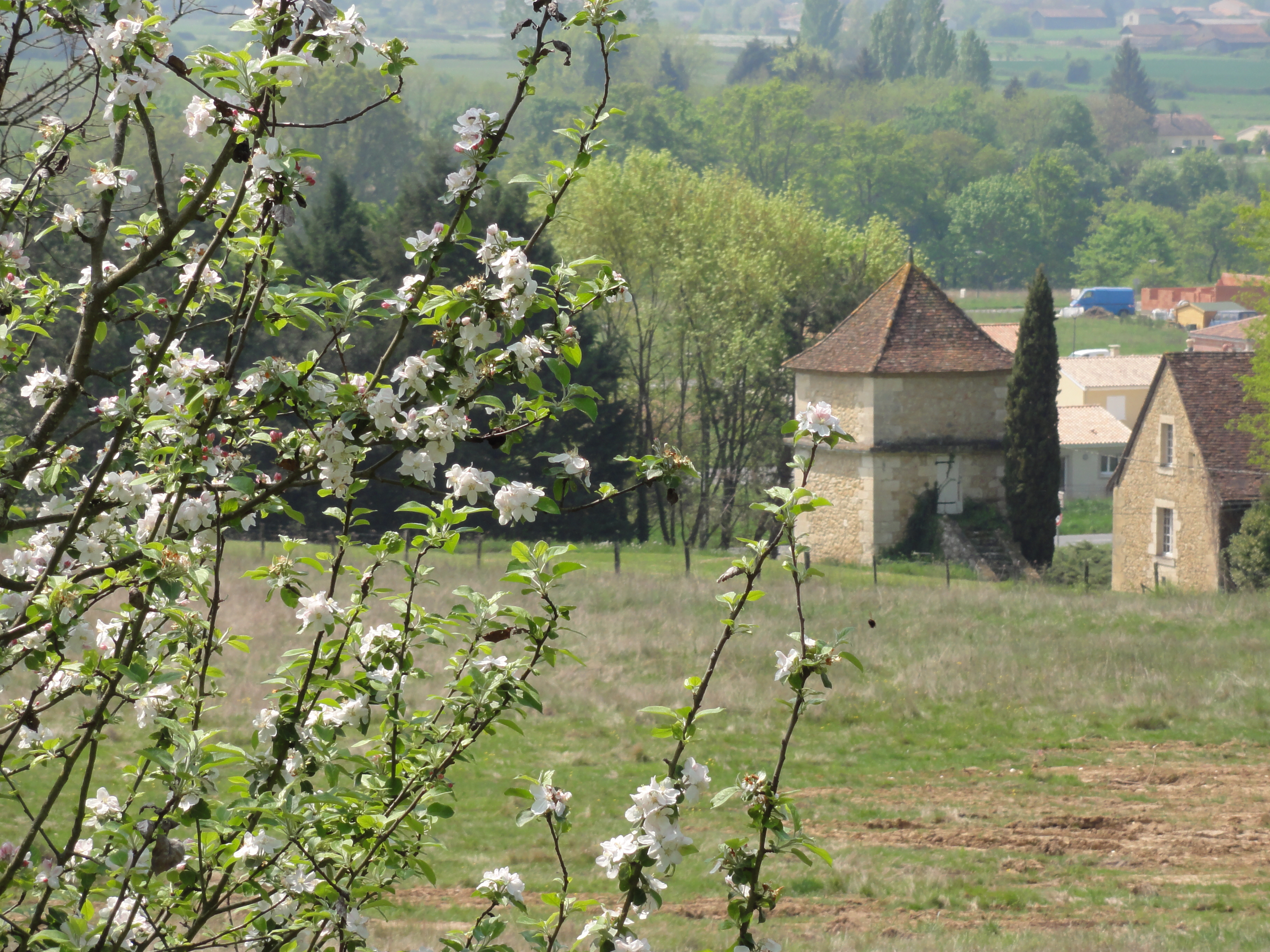 Printemps  Maladarse 2010