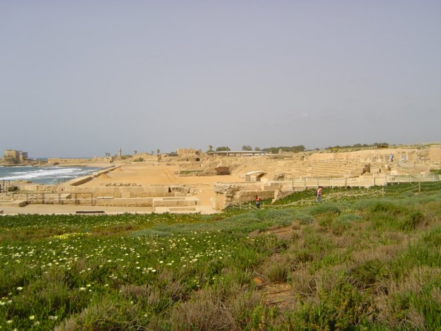vue sur l'hyppodrome
