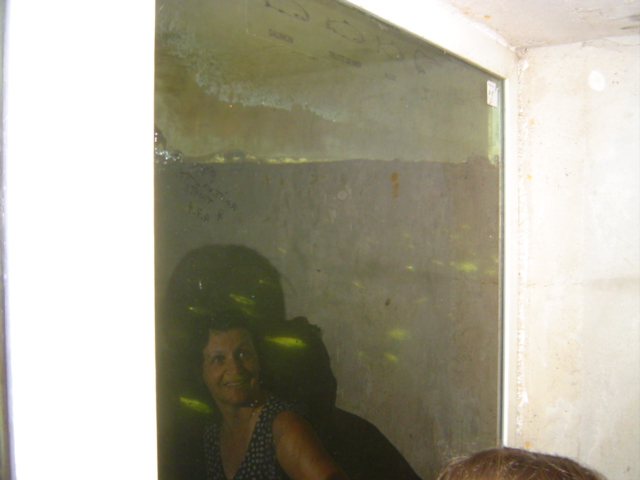 Nath en reflet de l'auarium  l'ascenseur  poissons