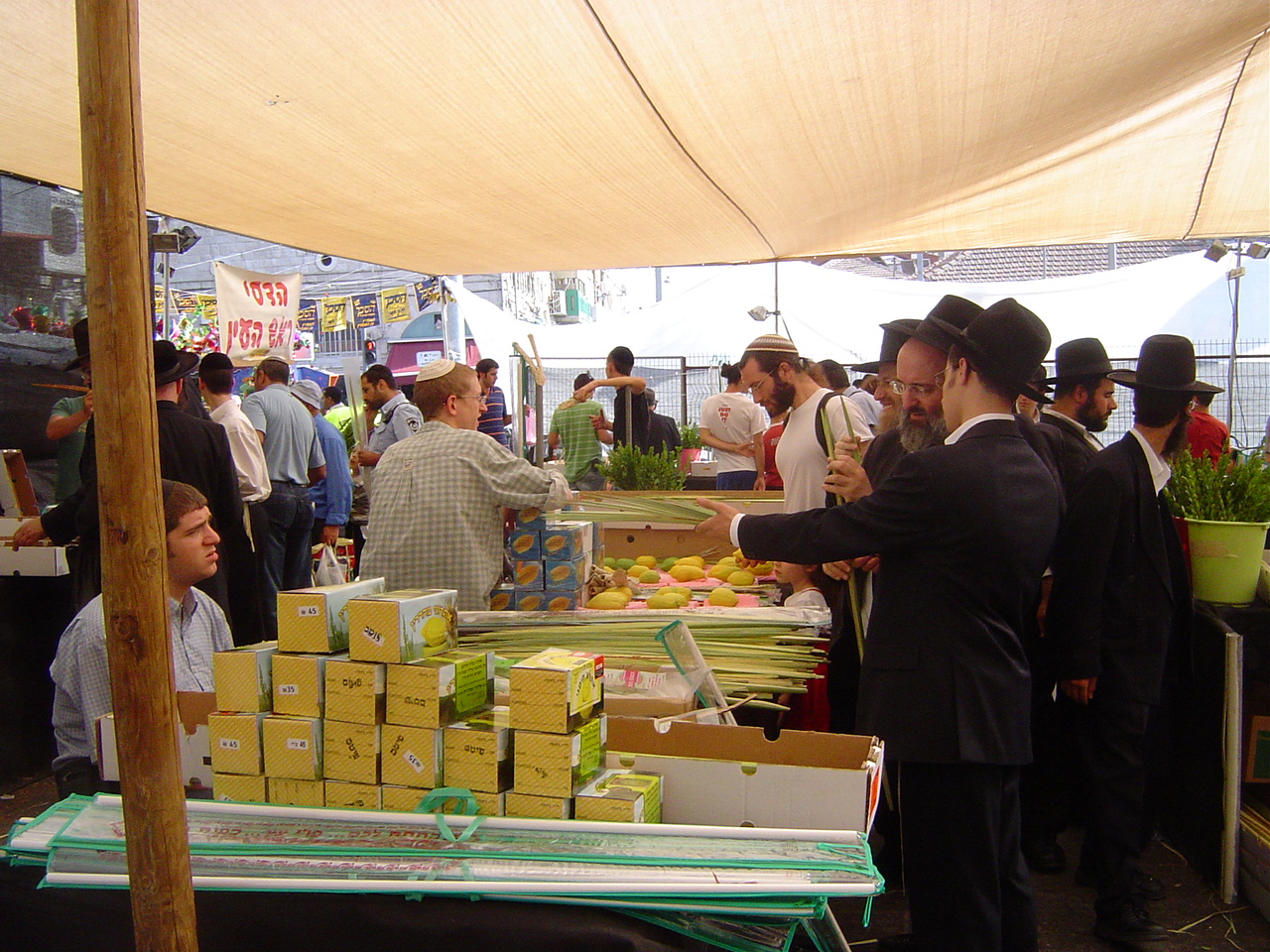 achat des 4 espces sur le march de Ben Yehuda pour Soukkot