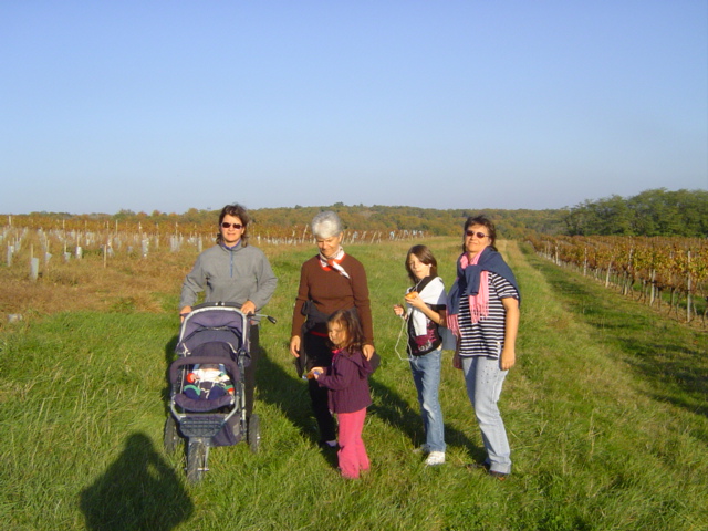 la promenade traditionnelle dans les vignes