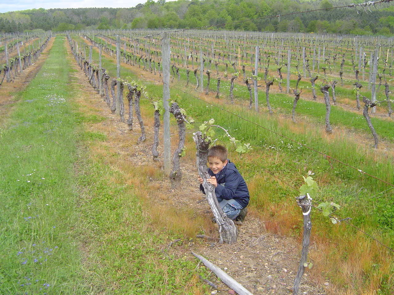 une partie de cache cache avec To dans les vignes de Maladarse