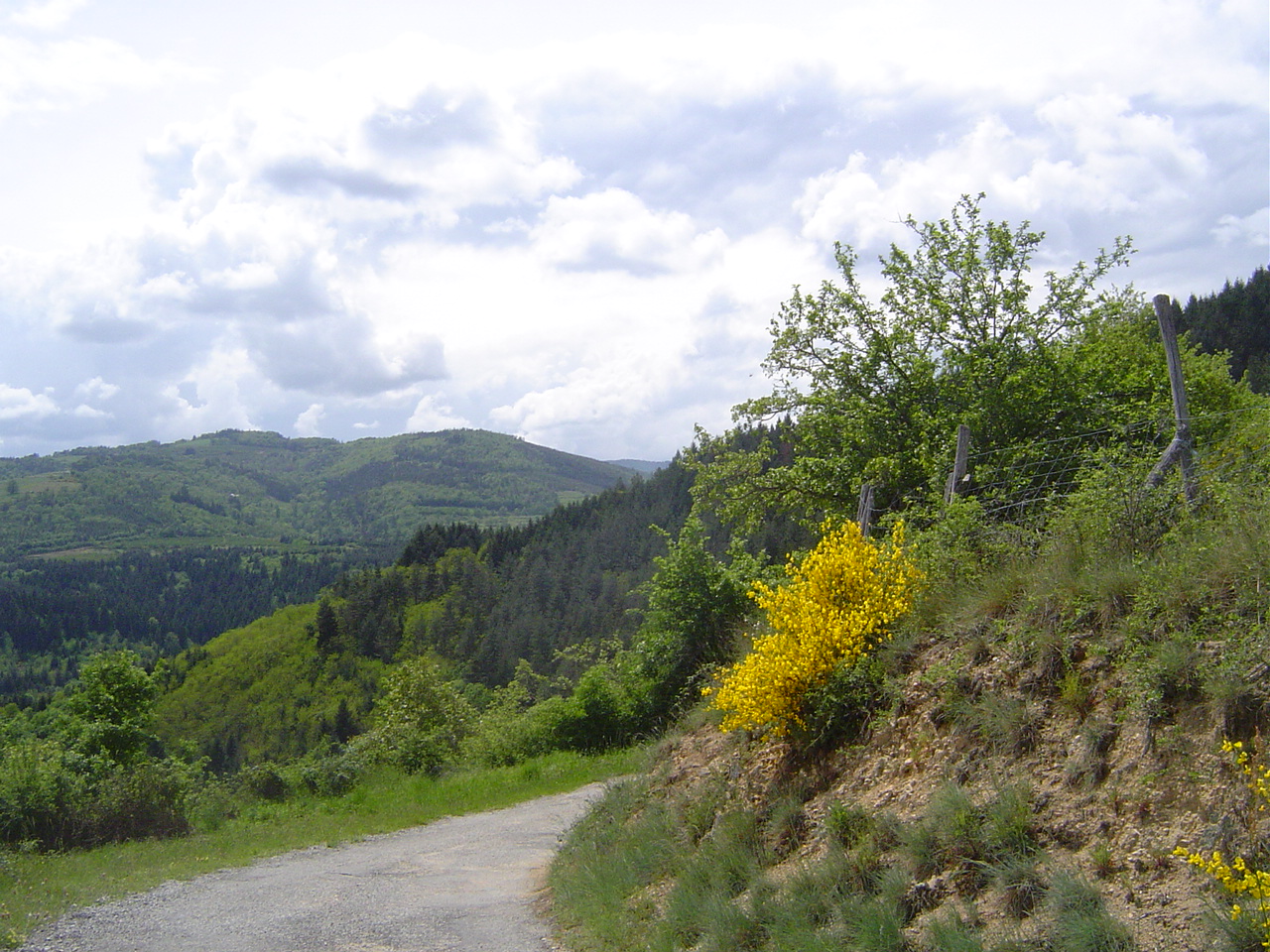 sur la route qui nous amne au Centre Equestre d'Anne-Ccile en Ardche