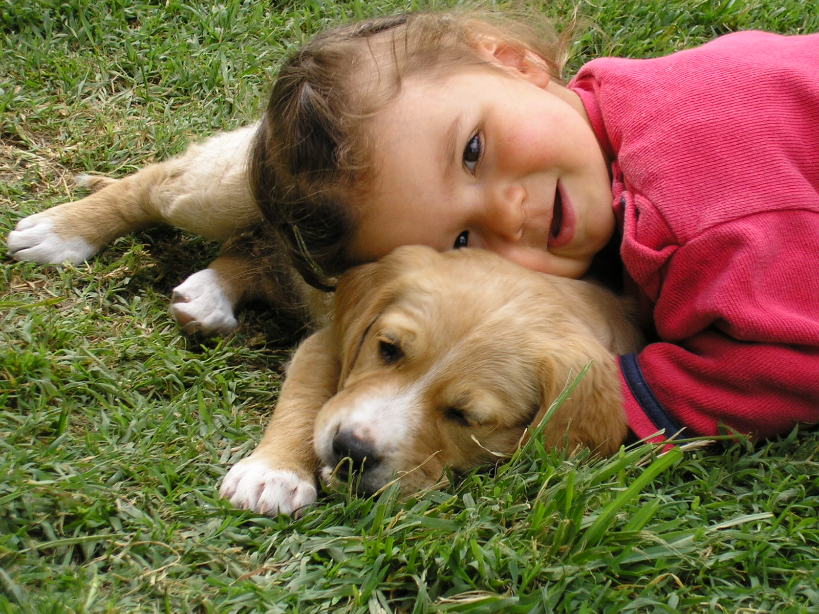 Zo et le petit chien