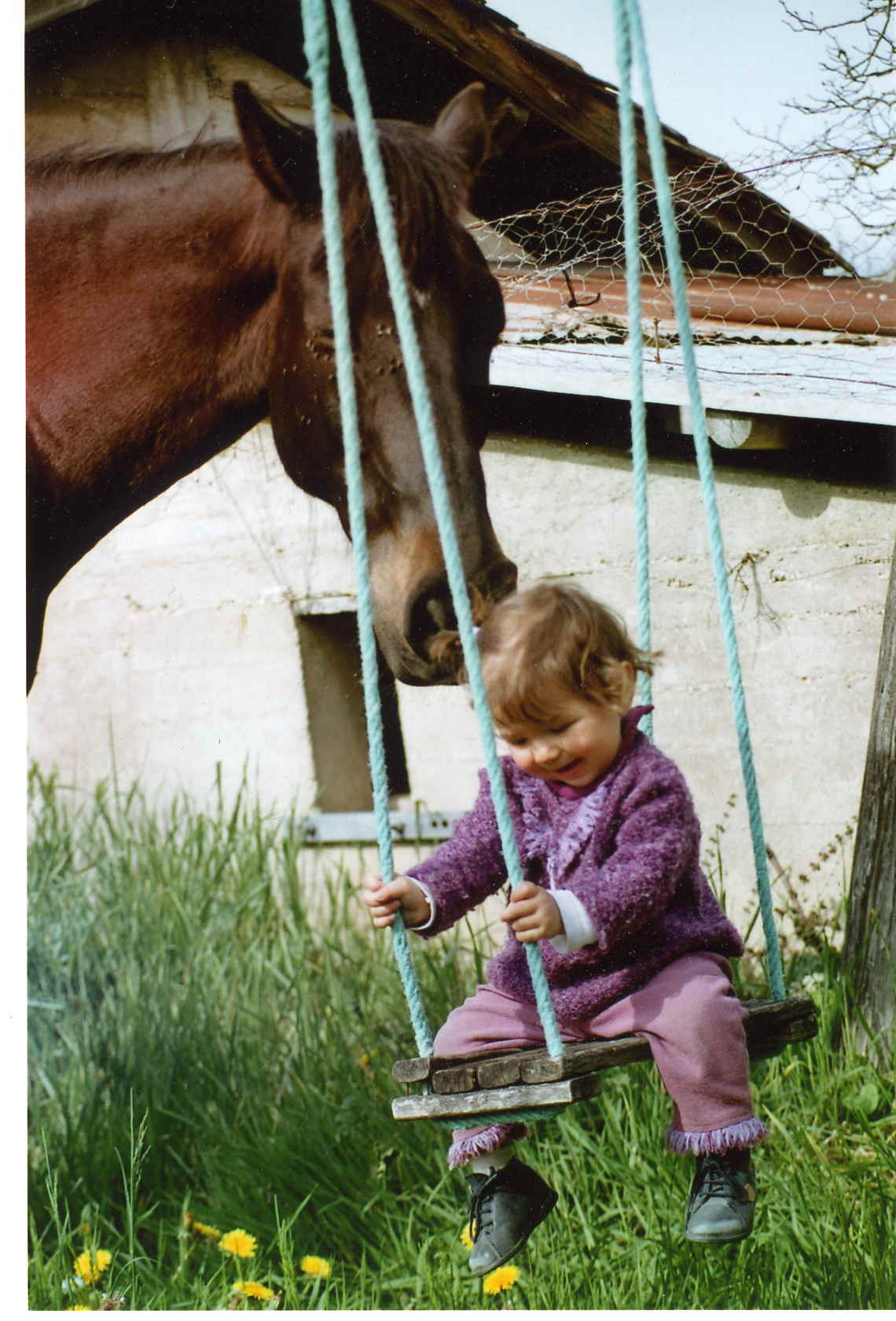 Zo  cheval